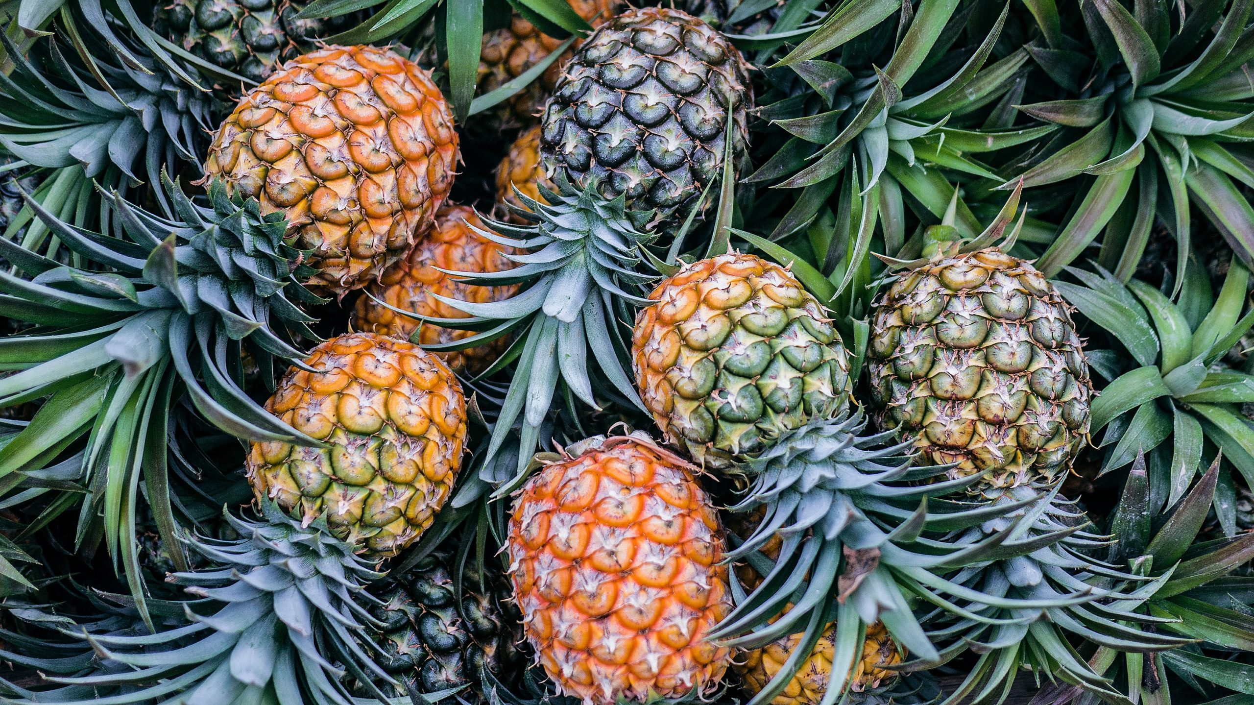 Pineapple Allergy Symptoms Cross Reactivity Testing Treatment 